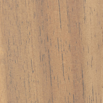 Four Hands Amaya Outdoor Chair - Ashen Acacia