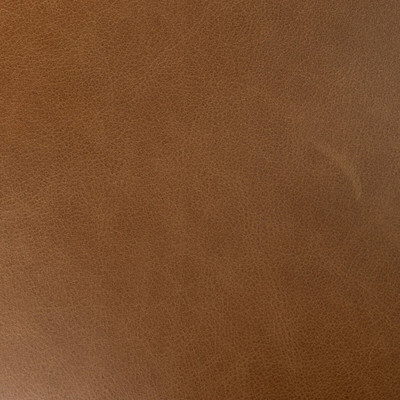 Four Hands Lismore Dining Chair - Sonoma Chestnut