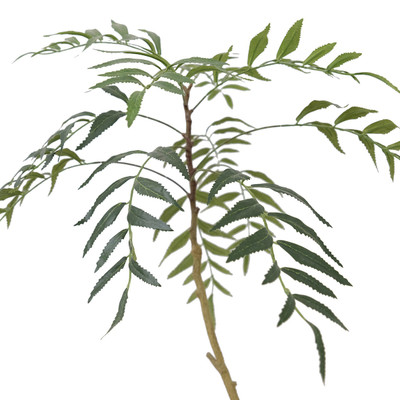 Four Hands Faux Neem Tree - Faux Neem Tree - 8'