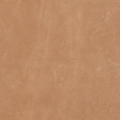 Four Hands Feron Dining Chair - Beige Oak Veneer