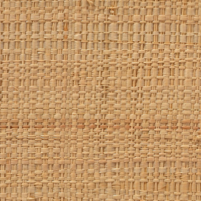 Jamie Young Wonderland Scalloped Small Decorative Raffia Tray - Natural