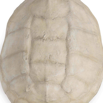 Regina Andrew Turtle Shell Accessory - Bleached