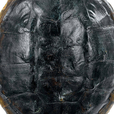 Regina Andrew Turtle Shell Accessory - Natural