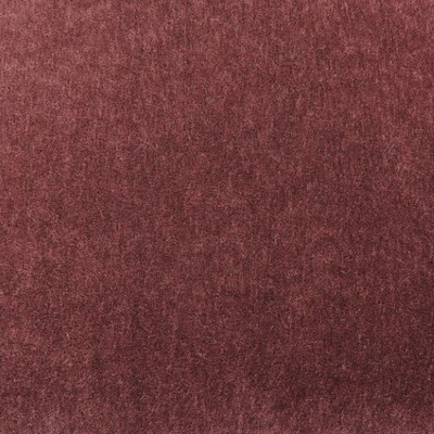 Klismos Acrylic Chair - Sultana image 2