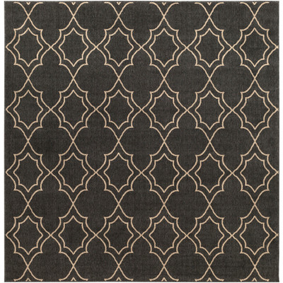 Surya Alfresco  Rug - ALF9590 - 8'9" Square