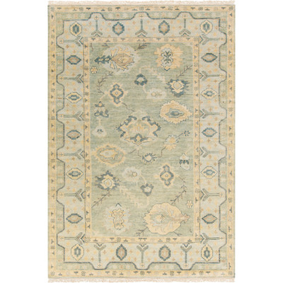 Surya Hillcrest  Rug - HIL9017 - 3'6" x 5'6"