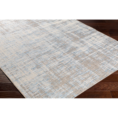 Surya Santa Cruz  Rug - STZ6013 - 2' x 3'7"