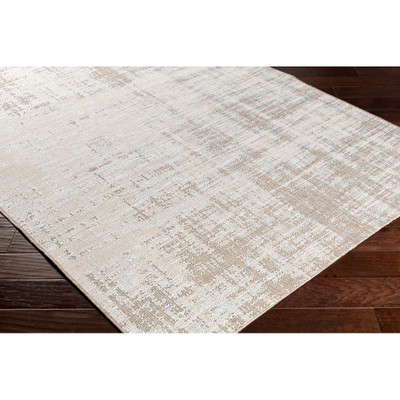 Surya Santa Cruz  Rug - STZ6014 - 2' x 3'7"