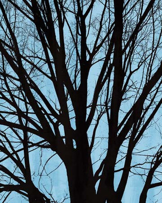 Art Classics Tree Poetry Center