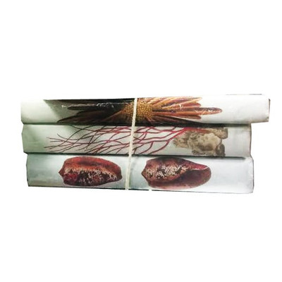 E Lawrence Sea Life V: 3 Volume Set