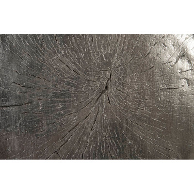 Phillips Collection Log Wall Slice, Silver Leaf