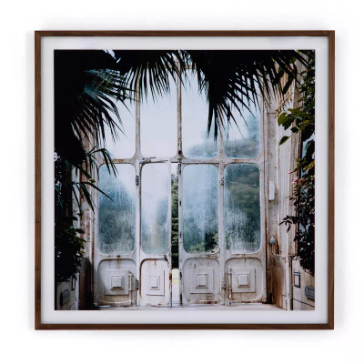 Four Hands Greenhouse II by Annie Spratt - 40"X40"