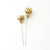 Global Views Brass Lotus Flower - Lg