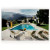 Four Hands Palm Springs Pool by Slim Aarons - 36"X24"