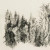 Four Hands Tree Sketch by Dan Hobday - 48"X36"
