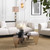 Eichholtz Corso Chair - Lyssa Off-White