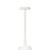 Regina Andrew Bluff Outdoor Pendant - White