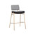 Sunpan Brinley Barstool - Gold - Nightfall Black / Chacha Grey