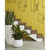Phillips Collection Amorphous Planter - Large - White