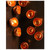 Seed Wall Play - Black - Set of 20 image 3