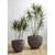 Phillips Collection June Planter - Raw Gray - XS
