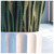 Sansevieria in Pia Planter image 1