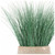 Bear Grass in Urbano Bell Fiber Clay Planter - SMALL image 1
