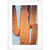 Wendover Desert Cactus 2