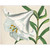 Wendover White Blooms 1