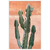 Wendover Orange Cacti 1