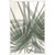 Wendover Palm to Shapes 2