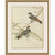 Wendover Birds of Autumn 6
