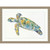 Wendover Multicolor Sea Turtle 1