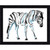 Wendover Zebra