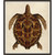 Wendover Large Sea Turtle 2