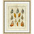 Wendover Crackled Shell Figure 1
