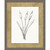 Wendover Cattails Sketch 4