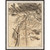 Wendover Nature Rendering 4