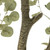 Four Hands Faux Eucalyptus Tree - 9'
