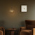Four Hands Glass Globe 300 Pendant - Black Gunmetal