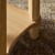 Four Hands Daley End Table - Light Natural Mango