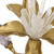 John Richard Embellished Blossom Sculpture on Crystal - Small