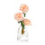 John Richard French Garden Rose