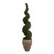 John Richard Garden Rosemary Spiral