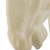 John Richard Stallion Bust on Marble