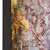 John Richard Teng Fei's Autumn Mist
