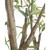 John Richard Tuscan Olive