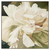 John Richard Victoria's Flower