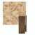 Worlds Away Enid Coffee Table - Burl Wood