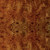 Worlds Away Rafferty Dining Chair - Dark Burl Wood